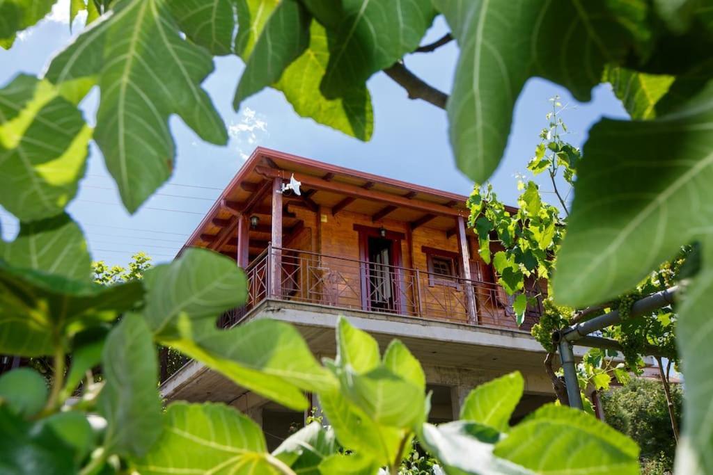 Apartamento Wooden House In Ioánina Exterior foto