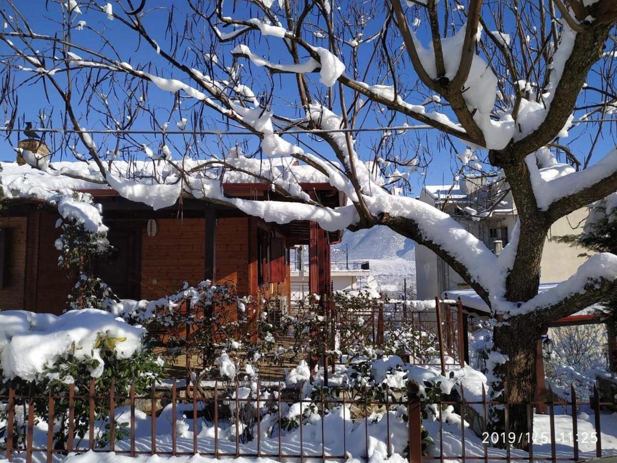 Apartamento Wooden House In Ioánina Exterior foto